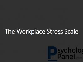 The Workplace Stress Scale