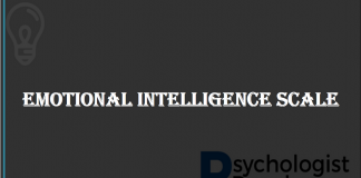 Emotional Intelligence Scale