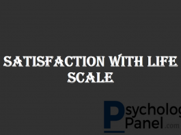 SATISFACTION WITH LIFE SCALE