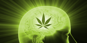 What are Cannabinoids (Cannabis and Its Variants)